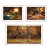 "Tranquil Spaces" 3-Piece Vignette by Robin-Lee Vieira, White Frame