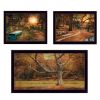 "Tranquil Spaces" 3-Piece Vignette by Robin-Lee Vieira, Black Frame