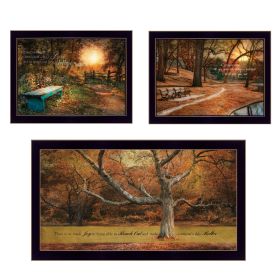 "Tranquil Spaces" 3-Piece Vignette by Robin-Lee Vieira, Black Frame