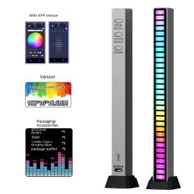 3D Double-sided Pickup Light RGB Voice Control Music Rhythm Lamp (Option: Rechargeable-32 Lamp Beads APP Metal Silver)