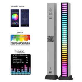 3D Double-sided Pickup Light RGB Voice Control Music Rhythm Lamp (Option: Rechargeable-40 Lamp Beads APP Metal Silver)