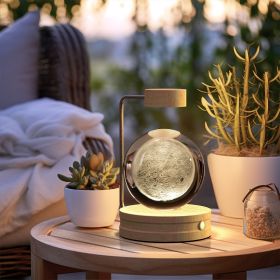 Crystal Ball Cosmic Dinosaur Indoor Night Light USB Power Warm Bedside Light Birthday Gift Night Lamp (Option: Moon-Light wood)