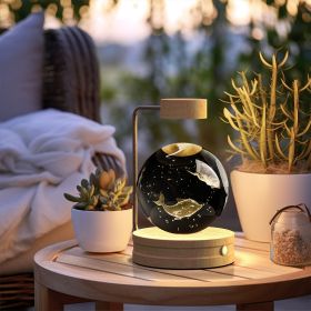 Crystal Ball Cosmic Dinosaur Indoor Night Light USB Power Warm Bedside Light Birthday Gift Night Lamp (Option: Spiritual Dolphins-Light wood)