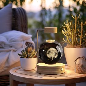 Crystal Ball Cosmic Dinosaur Indoor Night Light USB Power Warm Bedside Light Birthday Gift Night Lamp (Option: Dandelions-Light wood)